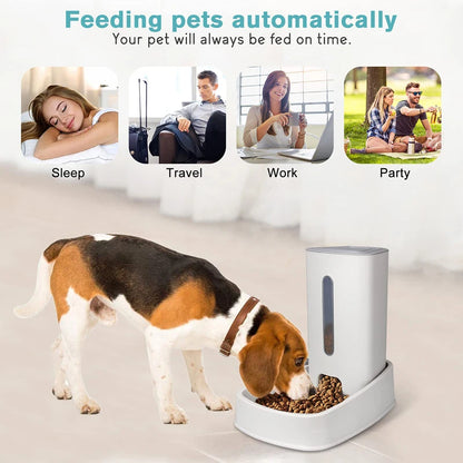 Large Automatic Dog Feeder - 3.8L Capacity, Clog-Free Design