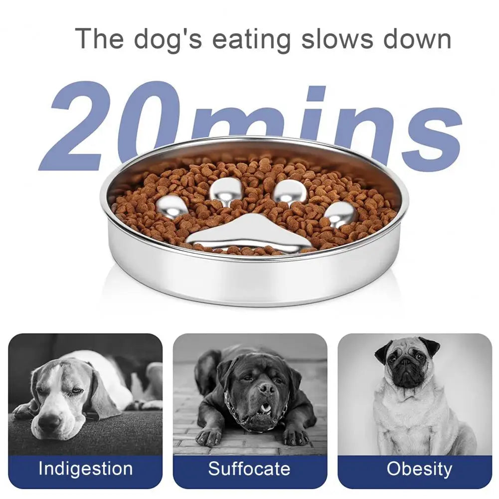 Dog wont eat out of stainless steel bowl best sale